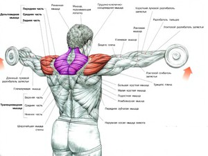 Как снять боль при заболеваний плечевого сустава