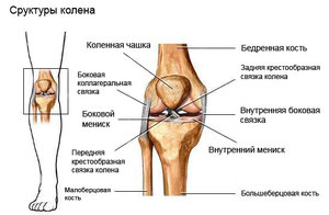 Методлика лечения мениска коленного сустава