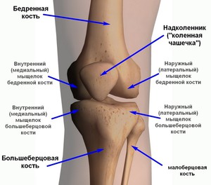 Заболевания коленного сустава