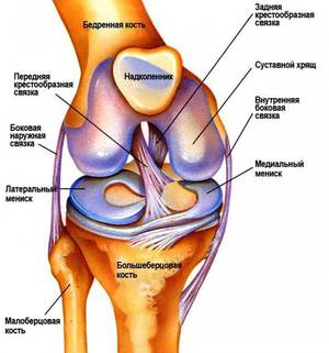 Повреждение коленного сустава