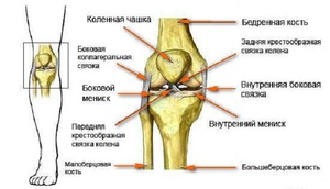Причины повреждения коленного сустава