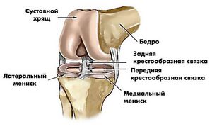 Изображение - Как выглядит мениск коленного сустава povrezhdenie-meniskov-kolennogo-sustava-