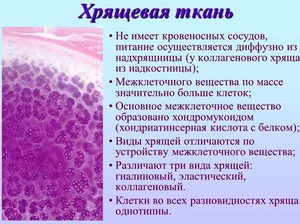 Изображение - Лекарство для восстановления хрящевой ткани суставов hryaschevaya-tkan